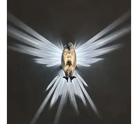 SAKEMA Lampada da Parete con Spettacolo di luci con Animali 3D, Lampada con Animali Carini intagliati in Resina, Luce Notturna con Aquila Calva Leone, Luce Notturna a LED per la Decorazione (Aquila)