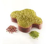 Sal de Riso Colomba di Pasqua Smeralda Gocce di Cioccolato Bianco e Glassa al Pistacchio 1 Kg