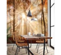 Sala da Pranzo Arancione Carta Parati Murale 3.1x2.2m Dorato Alba Foresta Cucina