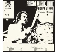 Salah Ragab and the Cairo Jazz Band Egypt Strut Album