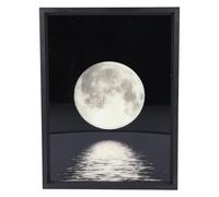 SALALIS Lampada Decorativa con Altoparlante BT Moon con Suono Ad Alta