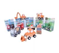 SALALIS Set di Mini Auto Giocattolo in Legno Colorato da 12 Pezzi per Giochi Educativi per Bambini, Auto Durevoli Migliorano L'apprendimento e la Memoria