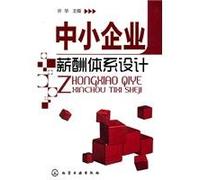 Salary System Design for Medium-Sized and Small Enterprises (Chinese Edition)
