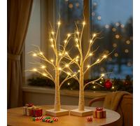 SALCAR Albero di luci a LED per interni, 2 pezzi, 60 cm, luci a forma di albero di betulla, funzionamento USB/a batteria, 24 LED, luce bianca calda, decorazione natalizia per casa, feste, compleanni