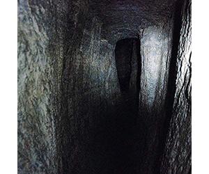 Saldanha, Jonathan U - Tunnel Vision