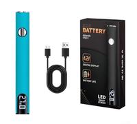 Saldatore USB portatile, in acciaio inox, a forma di penna, con temperatura regolabile, punte intercambiabili per riparazioni in movimento e progetti di officina (blu)