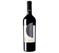 Salento IGP Primitivo Cantalupi Conti Zecca 2024, 0,75 ℓ