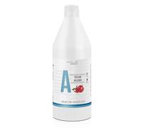 SALERM - Balsamo per capelli - Balsamo idratante melograno Hair Lab - 1200 ml - Idratazione profonda dei capelli - Criniera più liscia e lucida - Uso quotidiano - Senza Parabeni