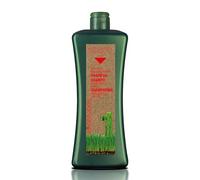 Salerm BIOKERA ANTICAIDA 1 Shampoo NATURA 1000ml