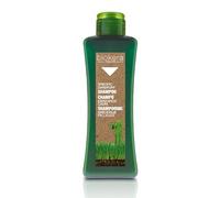 SALERM Biokera Natura Specific Dandruff Shampoo 300 Ml per tutti i tipi di capelli, per detergere e nutrire i capelli, 300 ml