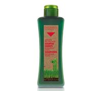 Salerm Biokera shampoo specifico caduta 300 ml ⭐⭐⭐⭐⭐⭐⭐⭐