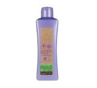 Salerm Cosmetics Biokera Grapeology Shampoo 300ml