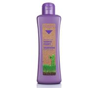 Salerm Cosmetics Biokera Natura Shampoo Grapeology - 300 ml