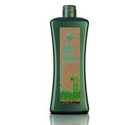 SALERM - Shampoo Antigrasa - Shampoo Specifico Grasso Biokera Natura - 1000 ml - per Capelli Grassi - con Lievito di Birra - Pulizia delicata - Proprietà Seboregolatrici