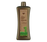 Biokera Salerm Shampoo Argan 1000 ml ⭐⭐⭐⭐⭐⭐