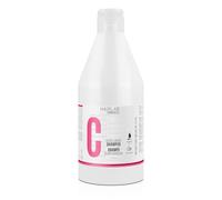 SALERM - Shampoo Capelli Tinti - Shampoo Color Longer Hair Lab - 600 ml - con Provitamina B5 e Vitamine A ed E - Sigilla e Mantiene il Colore - Senza Solfati e Parabeni