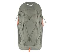 Salewa Alp Trainer 30L Zaino 65 cm grigio