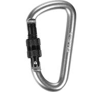 Salewa D-SHAPE Carabiner With Screw - portachiavi Black/Steel unisex