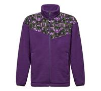 Salewa Eagle Anniversary Fz - felpa in pile - unisex 2XL Violet man Polarlite,Salewa Committed,Recycled Polyester