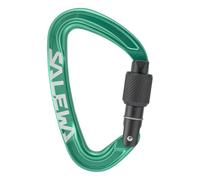 Salewa - Ortles Screw Carabiner - Moschettoni a ghiera variopinto