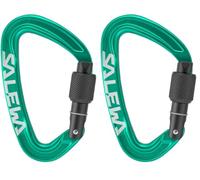 Salewa Ortles Screw Carabiner, Irish Green, UNI (Confezione da 2)