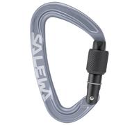 Salewa - Ortles Screw Carabiner - Moschettoni a ghiera grigio