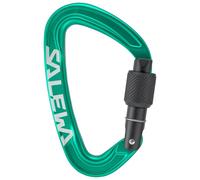 Moschettone Salewa Ortles Screw verde