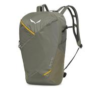 Salewa Pedroc Mate 22l Backpack Verde