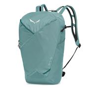 Salewa Pedroc Mate 22l Backpack Verde
