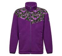 Salewa - Pile morbido e caldo - Eagle Anniversary FZ Jkt U Plum per Uomo - Taglia L - Viola