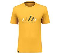 SALEWA Pure Stripes Dry M Maglietta, Gold, L Uomo