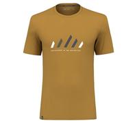 SALEWA Pure Stripes Dry M Maglietta, Marrone Dorado, L Uomo