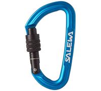 Salewa Spike For Ice Axe Ascia di Ghiaccio a Mano, Unisex Adulto, Black, Taglia Unica
