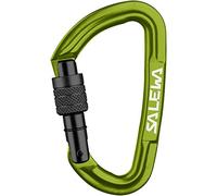 Salewa Hot G3 Screw Carabiner - moschettone Green unisex Alluminio
