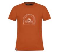 Salewa Unisex Graphic Dry K S/S Tee, Arancione - Burnt Orange, 8 Anni