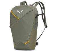 Salewa Pedroc Mate 22l Backpack Verde