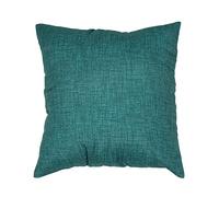 SalGiu Federe Cuscini Divano (2 pezzi) Con Cerniera Zip Tinta Unita 40x40 50x50 (42x42 cm, Verde Tiffany)