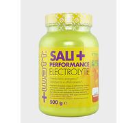 SALI PERFORMANCE 500 GR. + WATT SALI MINERALI