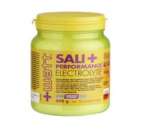 Sali+ Performance Electrolyte Limone, 500 g