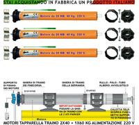 SALI SCENDI TAPPARELLA MOTORI 220 V 20 E 30 NM SERRANDA 2 DA 40 KG E 1 DA 60 KG