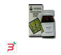 SALICE 60 CAPSULE 500 MG