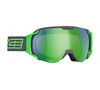 Salice 619DARWF, Maschera da Sci Unisex - Adulto, Antracite Verde, M