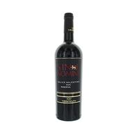SALICE RISERVA SINE NOMINE CL 75