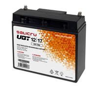 Salicru 013BS000004 batteria UPS Acido piombo (VRLA) 12 V 17 Ah