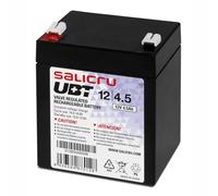 Salicru UBT 12/4,5 - Batería AGM recargable de 4,5 Ah