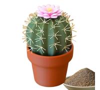 Saliera e pepe - Bottiglie ricaricabili ispirate ai cactus | Contenitori decorativi compatti con aperture facili da versare per condire in cucina e ristorante