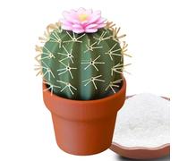Saliera e pepe - Pentole per sale e pepe, design a forma di cactus, contenitore per frullatori a prova di perdite per cucina, ristoranti e catering
