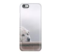 Sally Anne Morgan - Custodia posteriore a scatto per iPhone 6 Plus