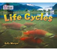 Sally Morgan Life Cycles (Tascabile) Collins Big Cat