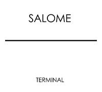 Salome - Terminal